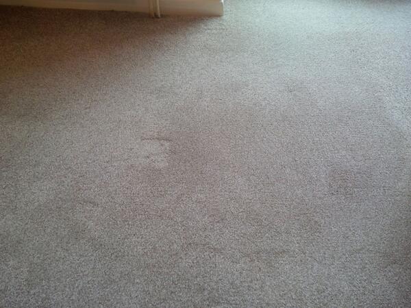 StuartSimpsonUK's tweet image. ...and here's part 2 After #carpetcleaning #carpetstain has gone Professional at work!