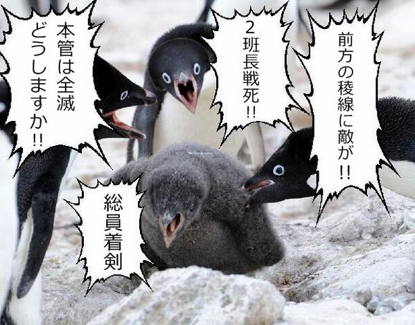 ゆるふわ怪電波 埼玉 Twitter પર あのいじめられてた運幹ペンギンは立派になりましたとさ ペンギンコラ Http T Co Ofaivv8zeo