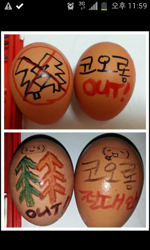 한국쓰리엠(3M) 기필코 승리!하리라 tweet media