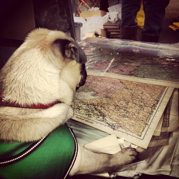 JJ_MediaGroup's tweet image. Do you think this dapper chap got lost on his way to a location recce?