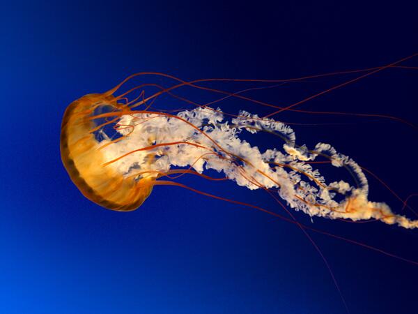 _MMTest_'s tweet photo. This is a test #0ba488 http://t.co/lKQdLjCs7x