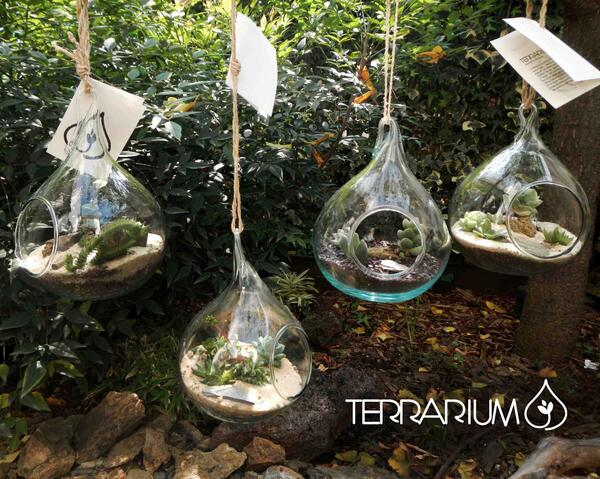 Terrariummx tweet picture