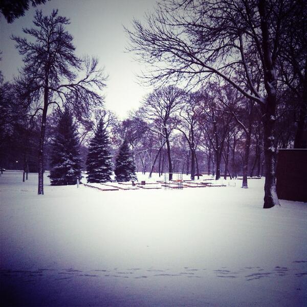 USTStewardshipS's tweet photo. A wintery garden #USTChristmas #snow http://t.co/aRzWjNPEAF