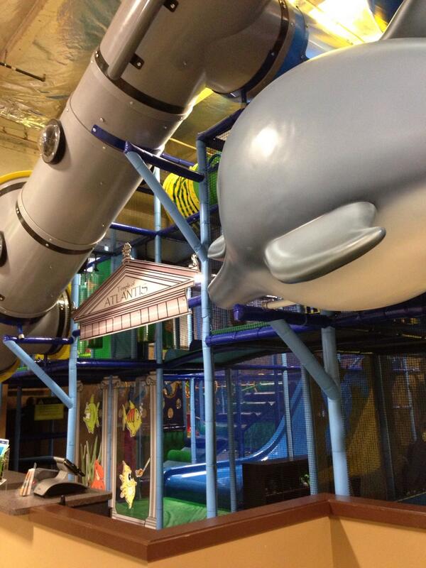 Lauren Cardinale CTA tweet media