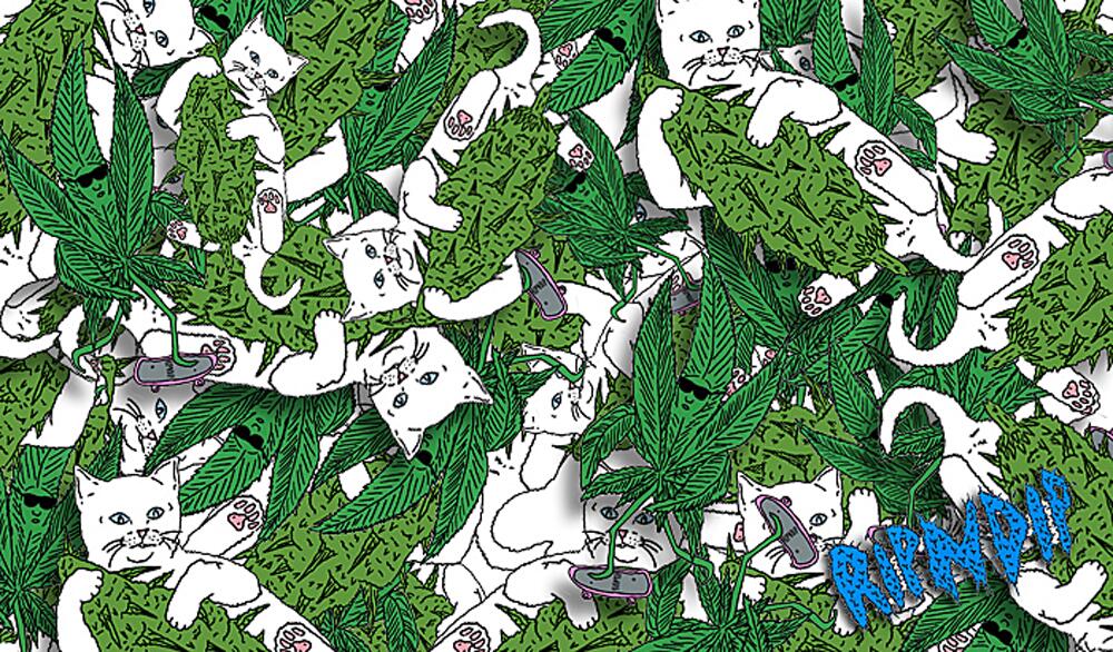 Brotherhood What Do You Know About Our Ripndip Sticker Pack Wallpapers For Your Desktop And Iphone Http T Co Qayglvdeor Http T Co B53i66nosc Twitter Brotherhood What Do You Know About Our Ripndip Sticker Pack Wallpapers For Your Desktop And Iphone Http T Co Qayglvdeor Http T Co B53i66nosc Twitter