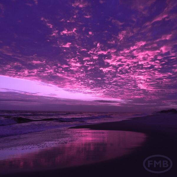 FtMorganBeach's tweet photo. Celebrating @pantone's pick for 2014 #coloroftheyear: #RadiantOrchid #FMB http://t.co/LWwOyonIoU