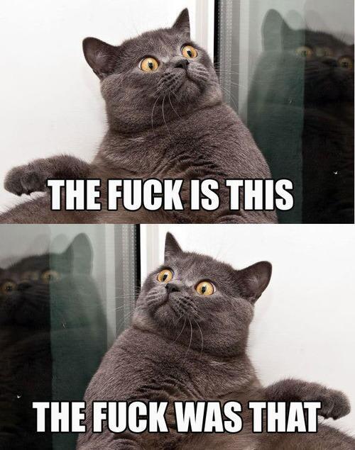 trancetrolls's tweet image. EDM cunts' reaction #ASOT642 #WAO138