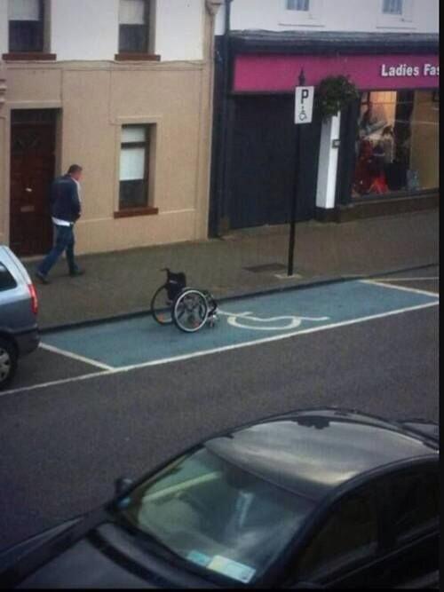WheelChairProb's tweet photo. Interesting http://t.co/eTUQ07RJm4