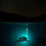 Photo by Redinger Diving (@redingerdiving)