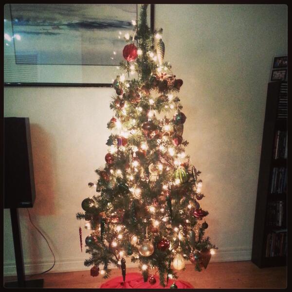 _SaraLeung's tweet image. Momma Leung is five feet tall, she thought our Christmas tree was tall enough.  #midgettree #christmastree