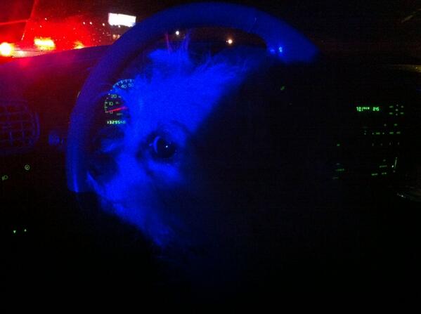 Rachel_Frost's tweet photo. Meanwhile...me and #gretchen wait. http://t.co/PNydA5pAMl