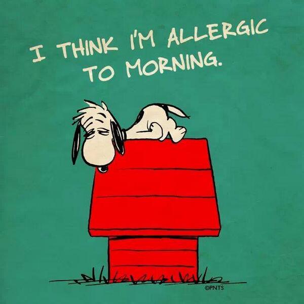 I think I'm allergic to morning.