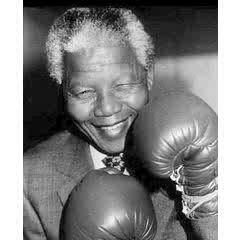 mitchell tweet media