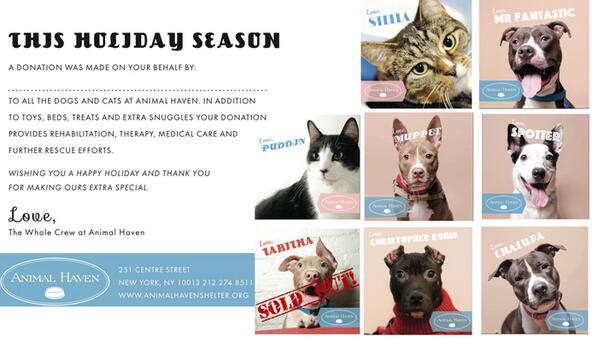 AnimalHaven's tweet image. Beautiful #Donation #GiftCards designed by @MoomahMagazine! 
#PerfectHolidayGift
bit.ly/1hBC4gI