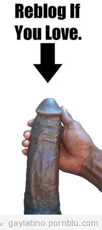 LatinDicks's tweet photo. #gay #porn #gayporn #latin #latino #sexy #gaysex #teamgay #dicks #cocks #selfie - http://t.co/cMdCh57yNZ http://t.co/jFdwA7stns