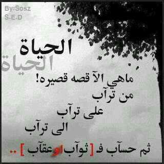 askp635 tweet picture