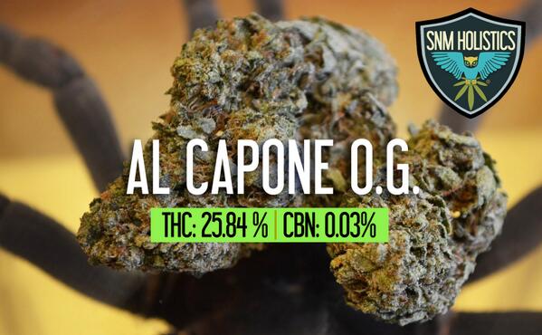 SNMHOLISTICS's tweet photo. Just like #AlCapone in a Prohibition Era. POWERFUL 
#THC: 25.84% #SCLabs #WeedMaps
BOGO Deal #SNMHolistics #SanDiego http://t.co/R48M1Kevrf