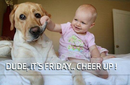 PostDose's tweet photo. Good morning everybody, it's Friday! :) http://t.co/2xcERMi1OY