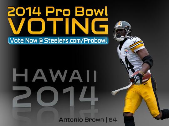 antonio brown pro bowl jersey 2014