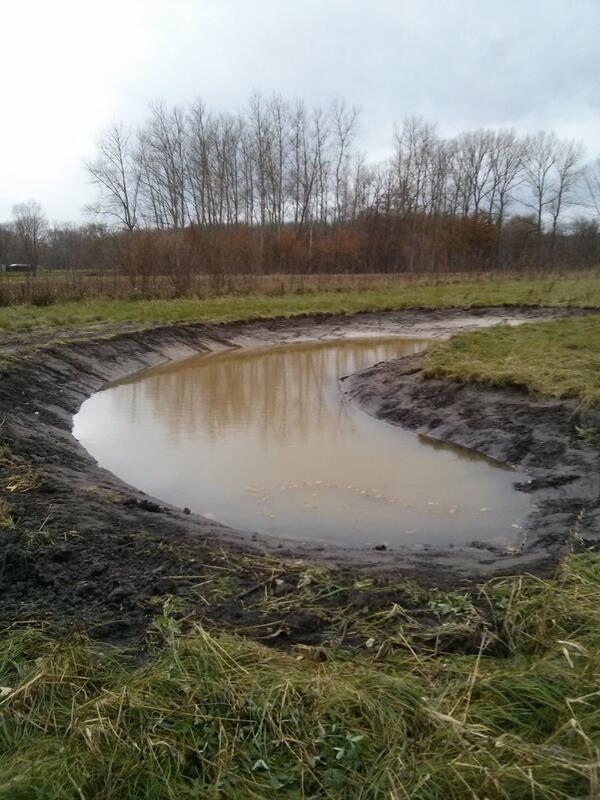 Nieuwste poel in @Bonheidengem loopt stilaan vol water