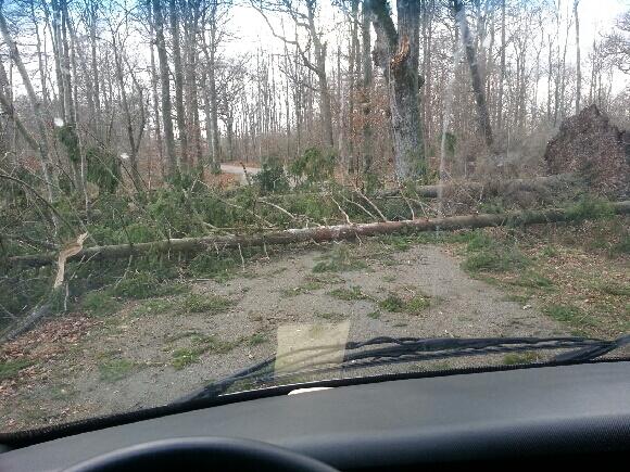 BudcomAB's tweet image. Liten omväg, tack för den #Sven