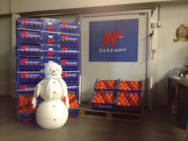 luitenfruit's tweet image. Laat de kerst maar komen!!
Samen met de lekkerste sinaasappels
Elefant navels...... Gewoon goed!!!