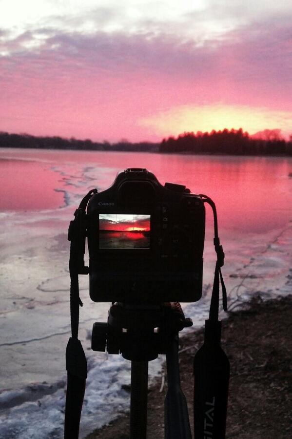 A view streamzoo.com/i/14273652