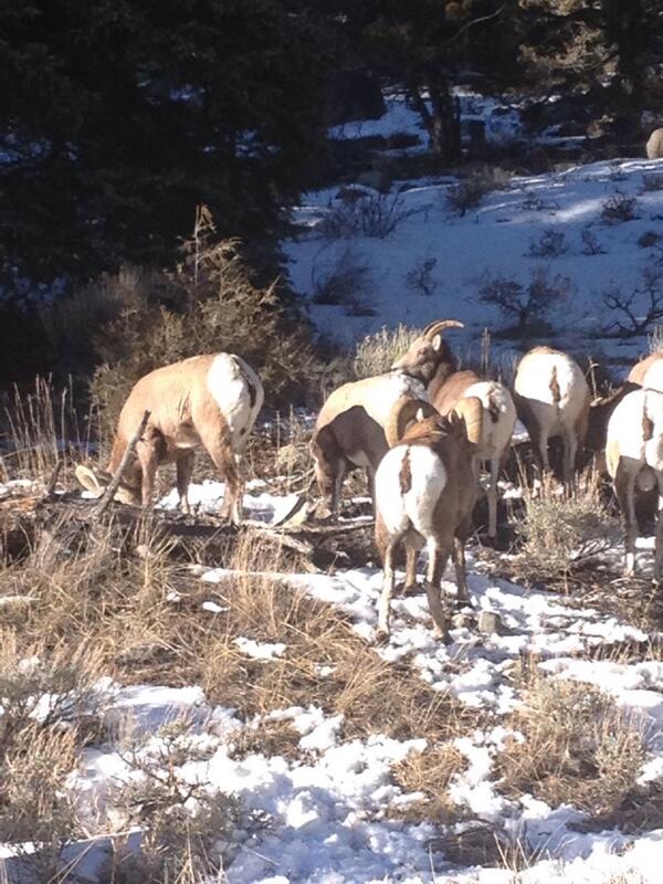 can_acho's tweet image. buttsbuttsbuttsbuttsbutts🍑 #iamfive