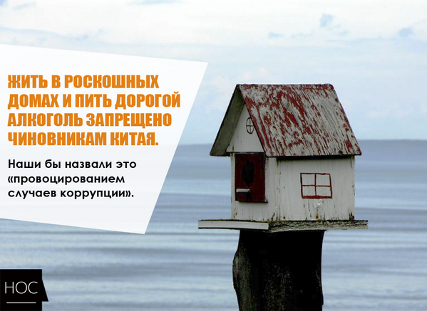 nosekz's tweet photo. Nose.kz - о чиновничьей аскезе.
Ученые доказали, что хороший чиновник - голодный чиновник - http://t.co/YzMIalHs2D http://t.co/16J0UBRUMc