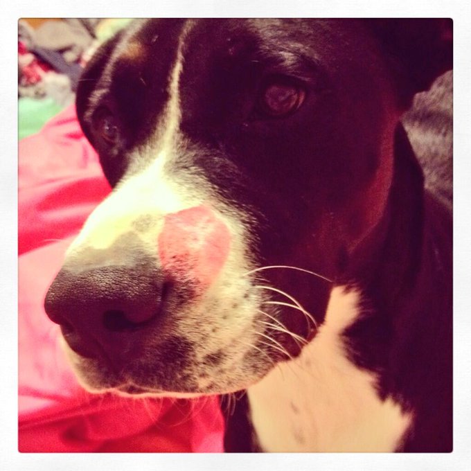 #boredom in a world of crazies http://t.co/lI4bYXVrvP<a href="/tag/boredom"class="tags">#boredom</a>