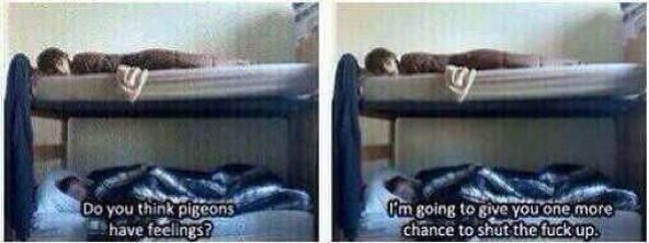 this is how it goes down when luke and michael share a room