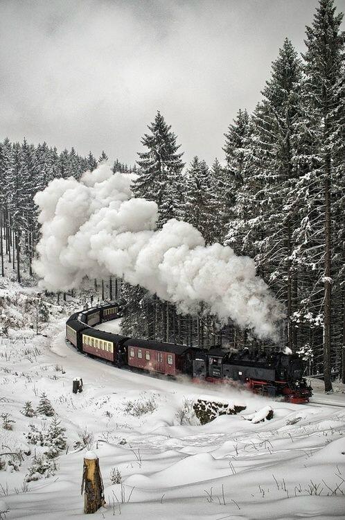 دليل المسافر On Twitter الثلوج بالغابات السوداء المانيا