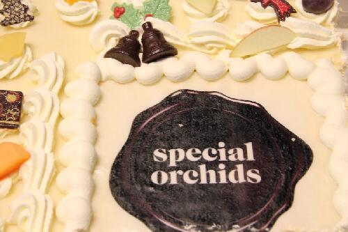 <a href="/SpecialOrchids/">Special Orchids</a> Dank voor de lekkere taart!