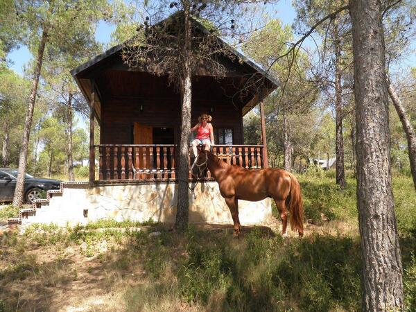 navalonturistic's tweet photo. Navalón Turístico, un lugar para disfrutar con tu caballo y tu mascota.
Visita nuestra fan page y síguenos :) http://t.co/IMAaC1Lde8