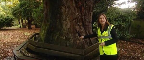 Helen Drew BBC London News/Freelance <a href="/helen_drew/">Helen Drew</a> talking about trees back in November.
