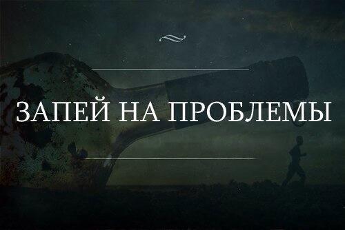 SofyaShanova tweet media