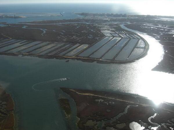 Imagenes de Huelva tweet media
