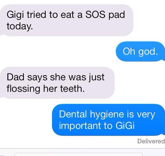 ThingsGiGiAte's tweet photo. #ThingsGiGiAte an SOS pad #saveourstomachs #delish #cleaningproducts #foreverhungry #dentalhygiene http://t.co/zVfnhaHBot