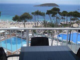 MagaluffW tweet picture