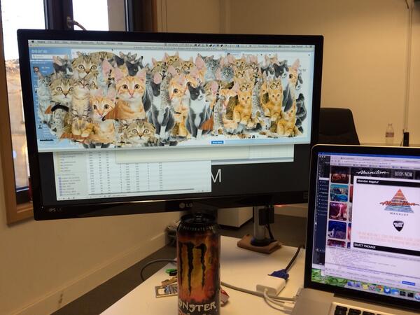 SamTurrell's tweet photo. Need to check my @Asana tasks, but I don't want to remove the cats... http://t.co/roilyEVyxW