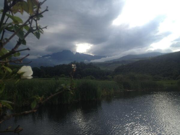 bergflying tweet picture