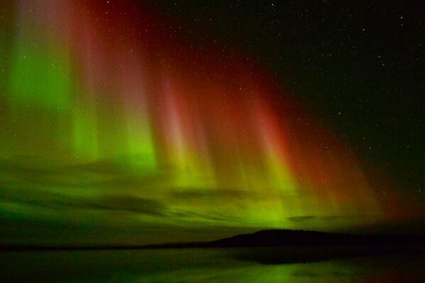 The Aurora Zone tweet media