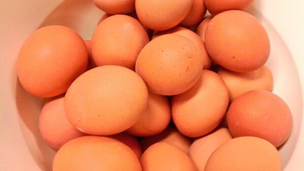 MissKerseboom tweet media