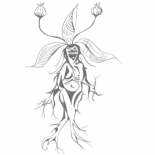 GabriellaSwerl's tweet image. “@Zeit_Heist: Meet our mandrake #ZeitHeist bit.ly/JHqDWr http://t.co/kBR2GUwtDD”