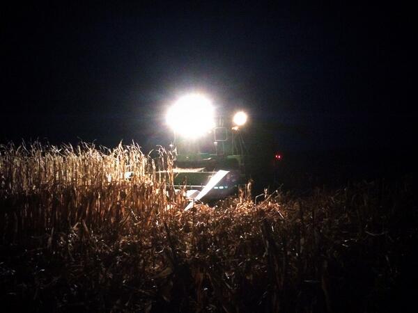JackBassett7's tweet photo. Getting the last of it early last night. #harvest13 #BassettFarms @farmerpics @JohnDeere http://t.co/xLVSEVwOHd