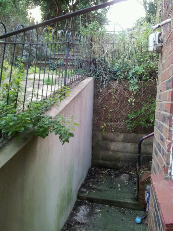 Warren Carter tweet media