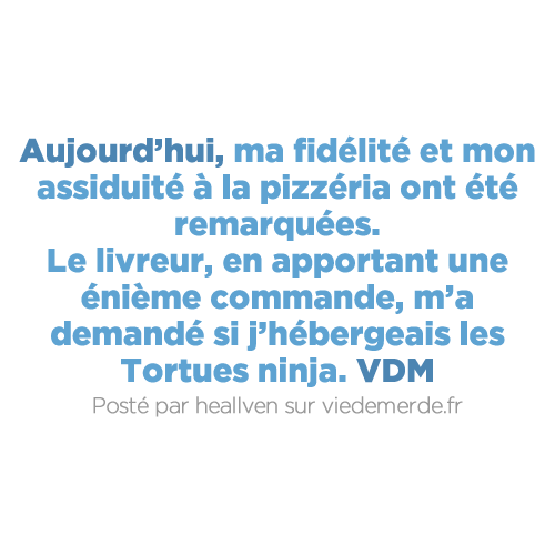 viedemerde tweet picture