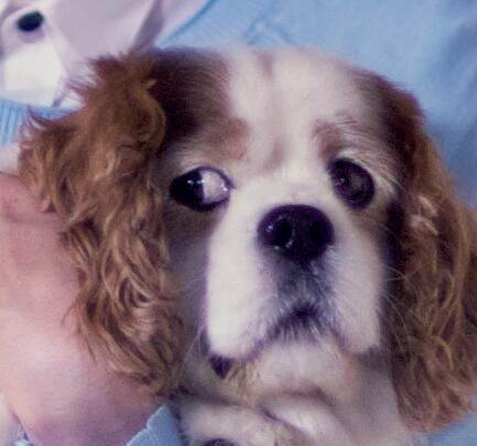 troyesivan's tweet image. @troyesivan when you try your best but you dont succeed