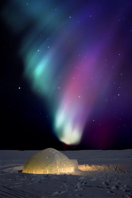 UniqueLifePics tweet picture