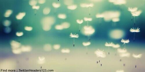 CuteEverything_'s tweet photo. @GirlMeetsLife 5 http://t.co/Zzg53AeaSE